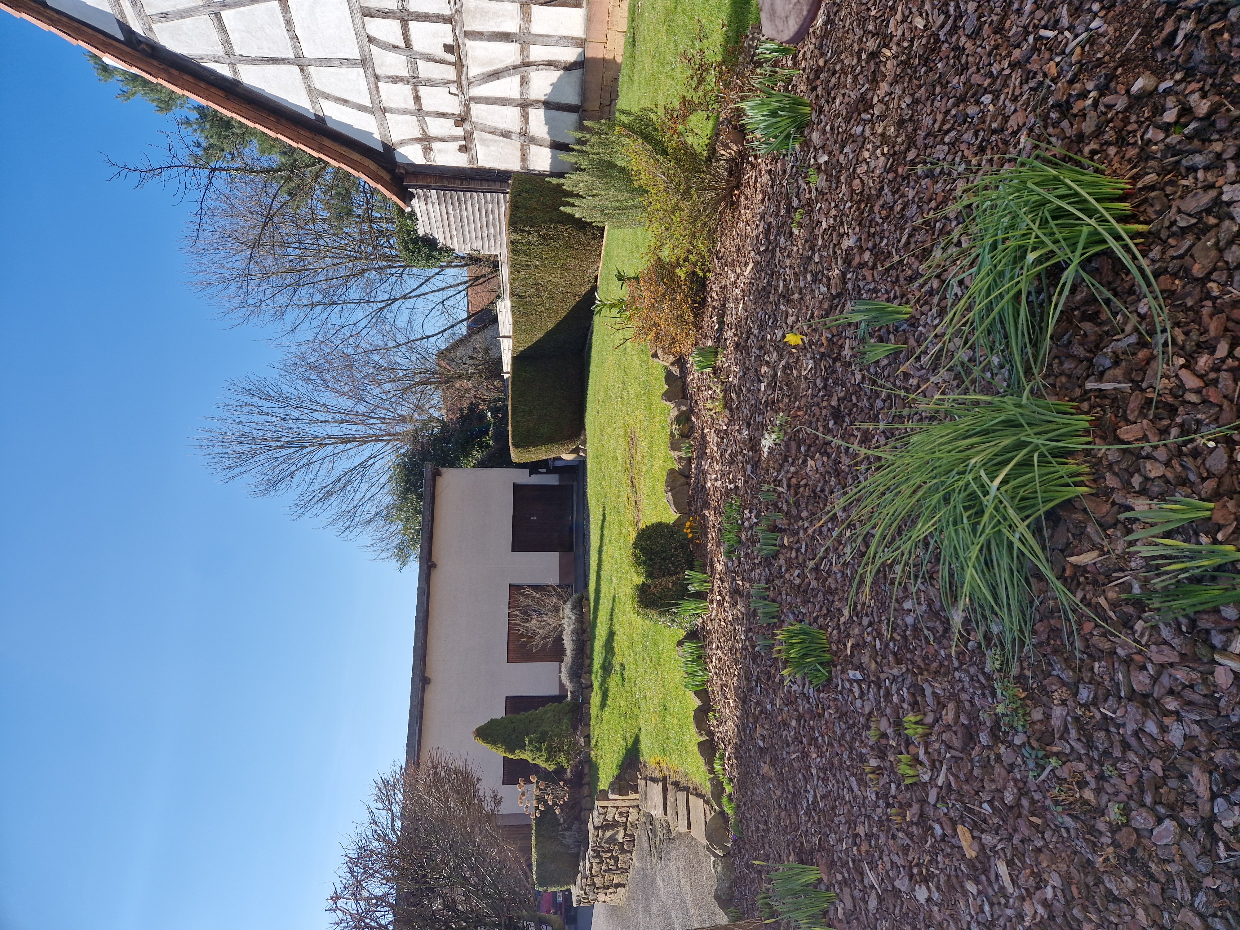 Image_, Appartement, Seebach, ref :172842